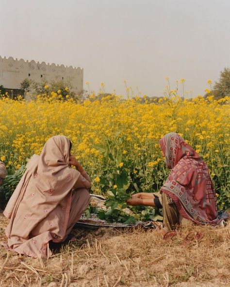 Different Cultures Aesthetic, Punjabi Aesthetic, Pakistan Aesthetic, Model Saree, Pakistani Art, South Asian Aesthetic, Pakistani Culture, Punjabi Culture, Instagram Mom