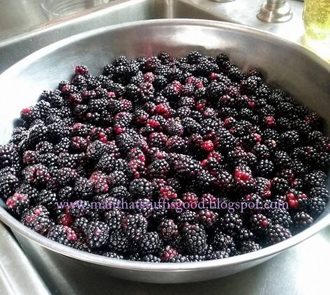 Stainless steel bowl full of blackberries Wine Making Recipes, Homemade Wine Recipes, Mulberry Wine, Blackberry Wine, Wine Recipe, Homemade Wine, Expensive Wine, Cheap Wine, Wine And Liquor