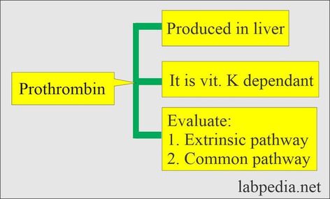 Prothrombin Time (PT)
What sample is needed for Prothrombin Time (PT)?

 	The blood sample is taken with an ESR (sodium citrate) solution.

 	The blood sample is 1.8 ml, and the ESR solution is 0.2 ml.








What precautions are needed for Prothrombin Time (PT)?

 	Alcohol intake can increase PT time.
 	A high-fat diet may decrease PT time.
 	Some drugs decrease PT, like anabolic steroids, digitalis, Benadryl, griseofulvin, oral contraceptives, vitamin K, and chloral hyd... Prothrombin Time, Liver Function Test, Medical Dictionary, Anabolic Steroids, Fat Soluble Vitamins, White Blood Cells, Preventative Health, High Fat Diet, Vitamin K