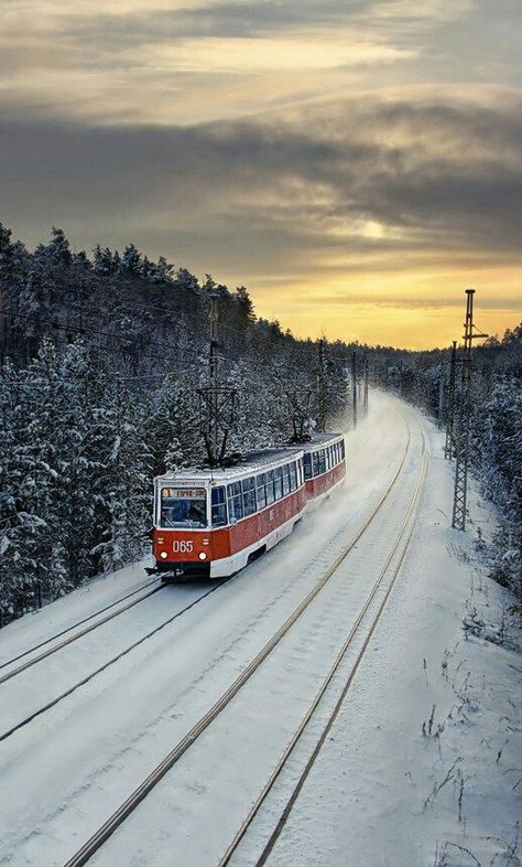 Trans Siberian Railway, Russia Travel, Voyage Europe, Train Rides, Train Travel, Winter Scenes, Travel Around The World, Luxury Travel, The Snow