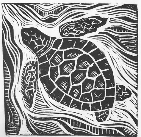 2021 Director's Choice Exhibit Turtle Linocut, Utopia Dystopia, Handbuilt Pottery, Lino Block, Woodcut Art, Relief Printmaking, Linoleum Print, Linocut Printmaking, Lino Art