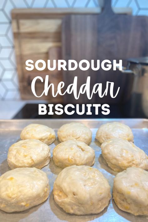 Sourdough Treats, Sourdough Biscuits, Recipe Using Sourdough Starter, Sourdough Bread Starter, Sourdough Starter Discard Recipe, Bread Sourdough, Starter Recipe, Easy Sourdough, Discard Recipes