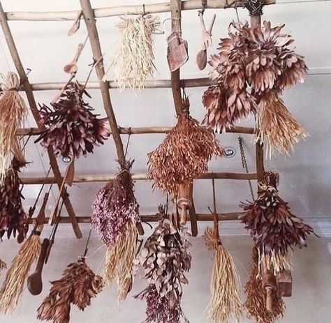 How To Dry Flowers, Flowers Hanging, Party Entrance, Flower Wreaths, Dried Flower Wreaths, Everlasting Flowers, Flowers Dried, Flower Studio, Dry Flowers