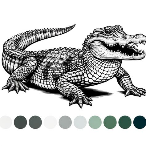 Children's Realistic Alligator Coloring Page- 4 Free Printable Pages Vintage Alligator Illustration, Alligators Art, Christian Shirts Designs, Printable Pages, Amphibians, Young Artist, Christian Shirts, Page Design, Coloring Page