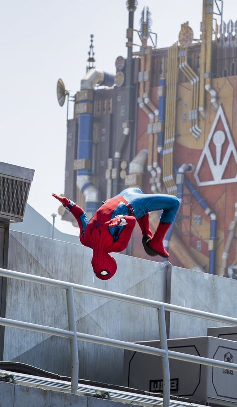 Flying Animatronic Spider-Man at Avengers Campus | Videos Avengers Campus Aesthetic, Avengers Campus Disneyland, Avengers Campus, California Adventure Park, Disney California Adventure Park, Disneyland Photos, Disney Paris, Disney Photo Ideas, Marvel Images