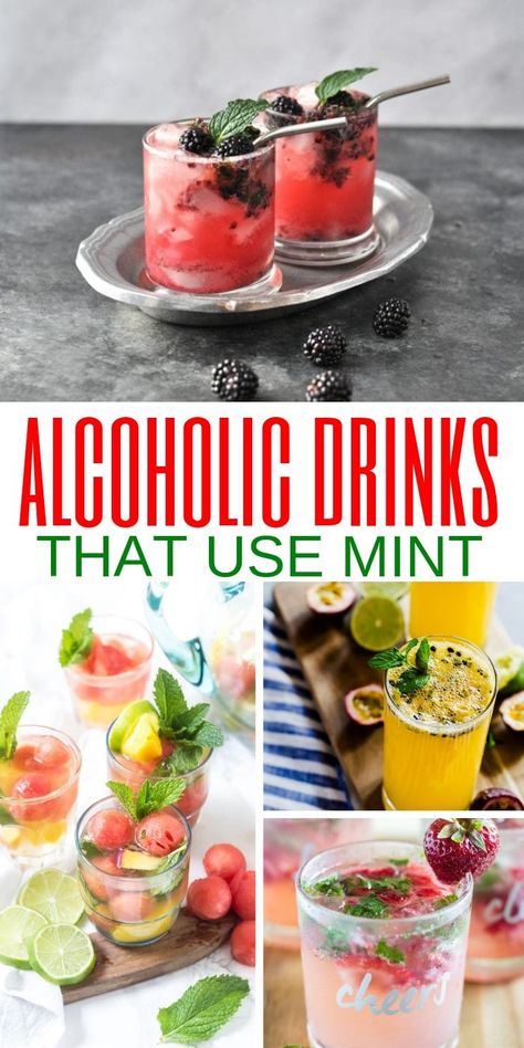 Delicious (alcoholic) Drinks That Use Mint! Minty Drinks Delicious Alcoholic Drinks| Put your Garden Mint to Work this Summer #mintydrinks #alcoholicdrinks #drinkswithmint via @aspiringwinos Mint Alcoholic Drinks, Low Carb Vodka Drinks, Tailgating Drinks, Alcohol Drinks Recipes, Best Mojito Recipe, Easy Mojito Recipe, Easy Party Drinks, Julep Recipe, Mint Drink