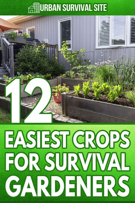 Garden Prepping, Backyard Design Ideas Budget, A Lot Of Food, Small Backyard Design Ideas, Survival Garden, Backyard Design Ideas, Survival Gardening, Summer Porch, Smart Garden