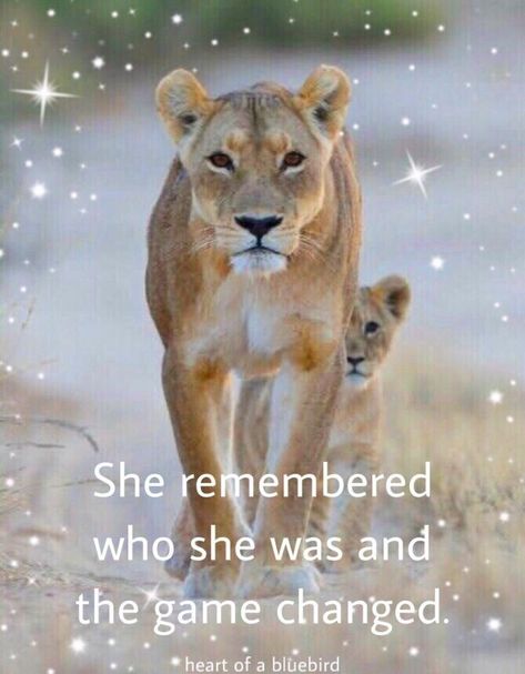 Lioness Spirit Animal, Lion And Lioness Quotes, Lioness Quotes Woman Strength, Lioness Pictures, Lioness Art, Lioness And Cub Tattoo, Lioness Queen, Cub Tattoo, Lioness Quotes