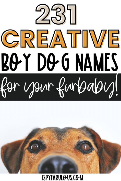 Frenchie Puppy Names, Cute Dog Names Male, Fun Dog Names, Food Dog Names, Food Names For Dogs, Boy Puppy Names Unique, Clever Dog Names, Male Dog Names Unique