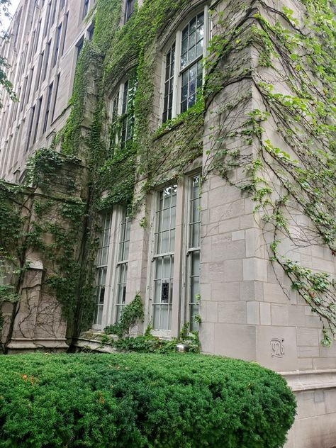 Ivy On Side Of House, Ivy Building Aesthetic, Building With Plants Exterior, Brick And Ivy Aesthetic, Ivy On Stone Wall, Ivy On Building, Ivy Walls Outdoor, Ivy On House Exterior, Ivy Plant Aesthetic