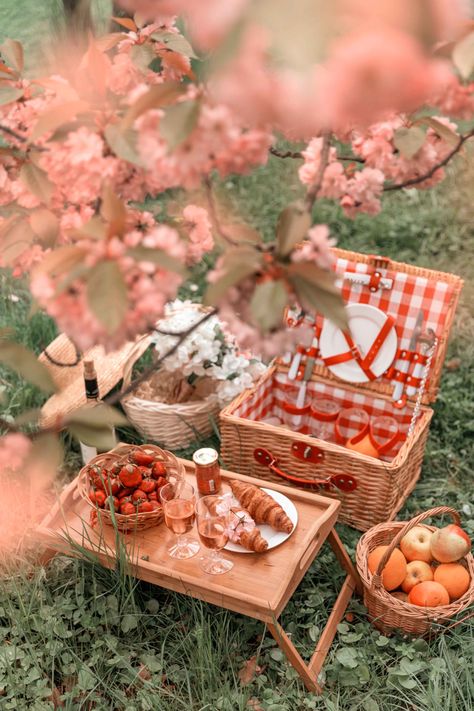 Picnic Under Tree, Picnic Set Up, 5th Anniversary Ideas, Cherry Blossom Picnic, Romantic Picnic Food, Aesthetic Picnic, Spring Picnic, Picnic Aesthetic, Picnic Inspiration