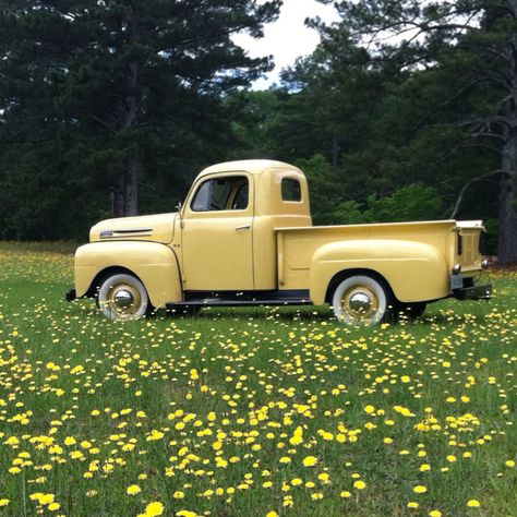 1948 Ford F1. I love these old trucks. So simple and pure  round and smooth and heavy metal ...                                                                                                                                                                                 More 1948 Ford Pickup, Aston Martin Db10, Yellow Truck, Old Vintage Cars, Vintage Pickup Trucks, Auto Retro, Old Pickup, Old Pickup Trucks, Classic Pickup Trucks