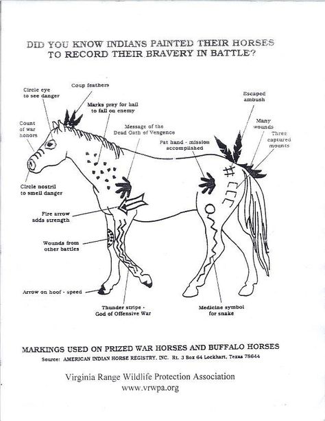 Intéressant, la signification des symboles indiens peints sur les chevaux Horse Markings, Native American Horses, Indian Horses, Horse Camp, Native American Symbols, Horse Costumes, American Symbols, Painted Pony, Horse Quotes