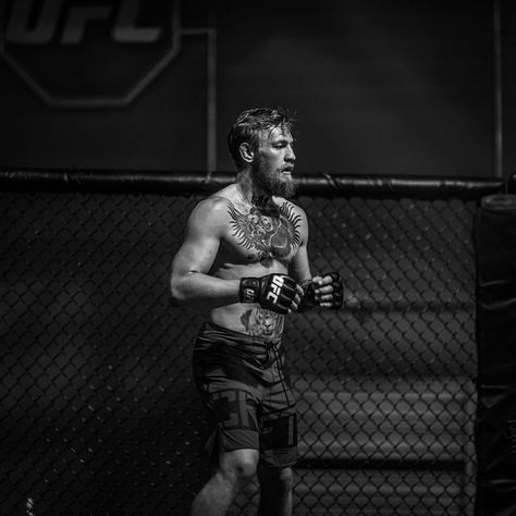 Conor Mma Photography, Conor Mcgregor Wallpaper, Conner Mcgregor, Conor Mcgregor Quotes, Mcgregor Wallpapers, Notorious Mcgregor, Ufc Conor Mcgregor, Conor Mcgregor Poster, Jose Aldo