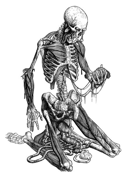 holding his heart in his hand on Behance Holding Skull Reference Drawing, Skeleton Drawing Poses, Someone Holding Book Reference, Hand Holding Heart Reference, Holding Someone Reference, Holding Heart In Hand, Hand Squeezing Heart Drawing, Heart Drawing Reference, Hands Holding Something Drawing