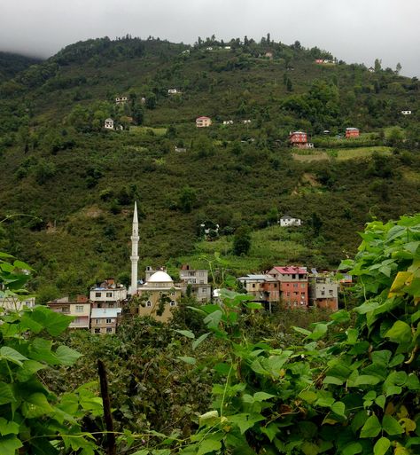 In A Turkish Village, A Conversation With Whistles, Not Words Bird Language, Turkish Village, Alchemy Art, Sea Coast, Brain Science, Keep Alive, Mountain Village, Black Sea, In The Mountains