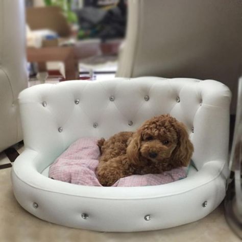 Leather Dog Bed, Dog Bedroom, Cute Dog Beds, Puppy Room, Puppy Kennel, Sofa Luxury, Diy Dog Bed, Puppy Beds, Dog Sofa Bed