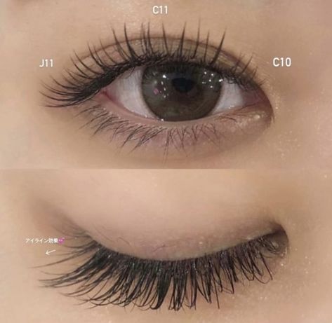 Asian Classic Lash Extensions, Lash Extentions Asian Eyes, Natural Asian Eyelash Extensions, Eyelash Extension Asian Eyes, Natural Asian Lash Extensions, Chinese Lash Extensions, Babydoll Lash Extensions, Eyelash Extensions Asian, Lash Extensions Asian Eyes