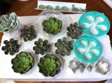 Succulant Piping Succulents Tutorial, How To Make Polymer Clay Succulents, Royal Icing Succulents Tutorial, Fondant Succulents Tutorial, Wedding Cupcakes Fondant, Succulent Frosting Tutorials, Wedding Cake Tutorial, Cactus Cake, Sugar Paste Flowers