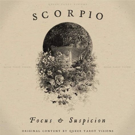 Scorpio Images, Scorpio Art, Aries And Scorpio, Scorpio Traits, Scorpio Zodiac Facts, Zodiac Signs Scorpio, Scorpio Season, The Hierophant, Tarot Astrology