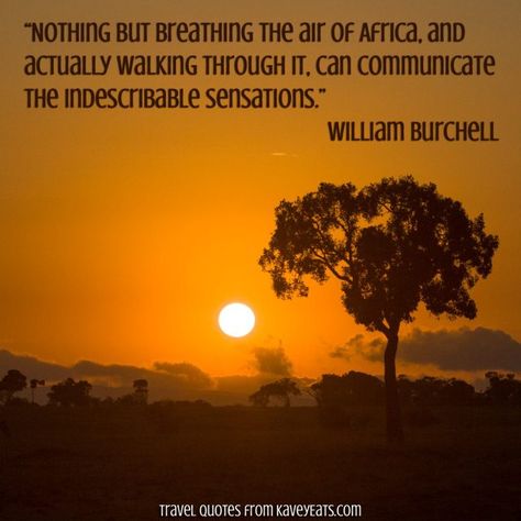 Communicate Quotes, Africa Quotes, Rwanda Travel, Bush Quotes, African Words, Africa Vacation, Quote Travel, African Quotes, Culture Quotes