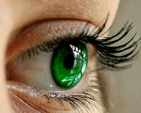 Dark Green Eyes, Beautiful Eyes Color, Demon Eyes, Emerald Eyes, Photos Of Eyes, Remove Dark Circles, Dark Circles Under Eyes, Foto Art, Anime Eyes