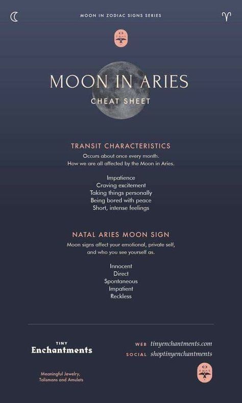 Basic Astrology, Tropical Astrology, Leo Moon Sign, Aries Moon Sign, Moon Aries, Astrology 101, Leo Constellation Tattoo, Moon In Aries, Aries Moon