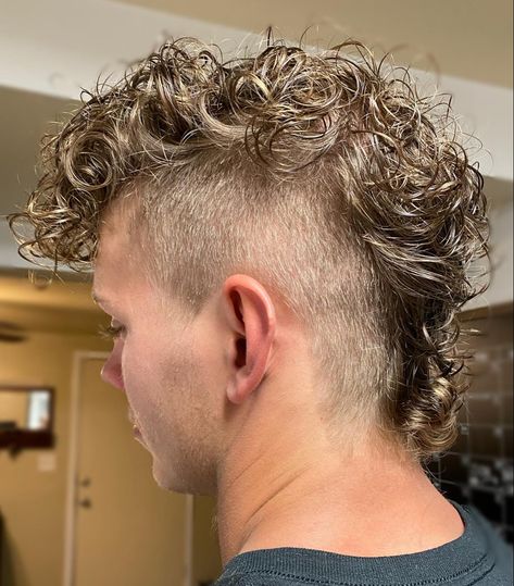 Men’s Curly Mohawk, Curly Mohawk Men, Curly Mohawk Hairstyles Men, Short Mohawk Hairstyles, Curly Hair Mohawk, Mohican Haircut, Curly Haircuts For Men, Mohawk Hairstyles For Men, Short Hair Mohawk