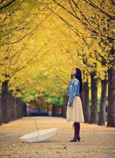 Nami Island Autumn, Dream Korea, Clear Autumn, Ootd Pose, Seoul Style, Seoul Photography, Korea Autumn, Singapore Trip, Autumn In Korea