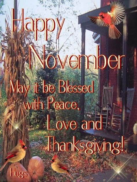 Good Morning November, November Pictures, November Images, Happy Thanksgiving Pictures, Welcome November, Morning Sayings, November Quotes, Quote Pictures, Thanksgiving Pictures