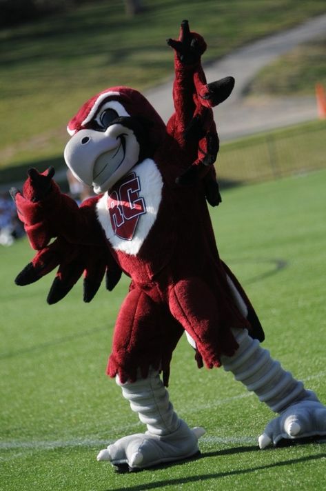 Roanoke College, College Road Trip, College Orientation, Santa Costumes, College Mascot, Sports Advertising, Football Usa, White Eagle, Go To College