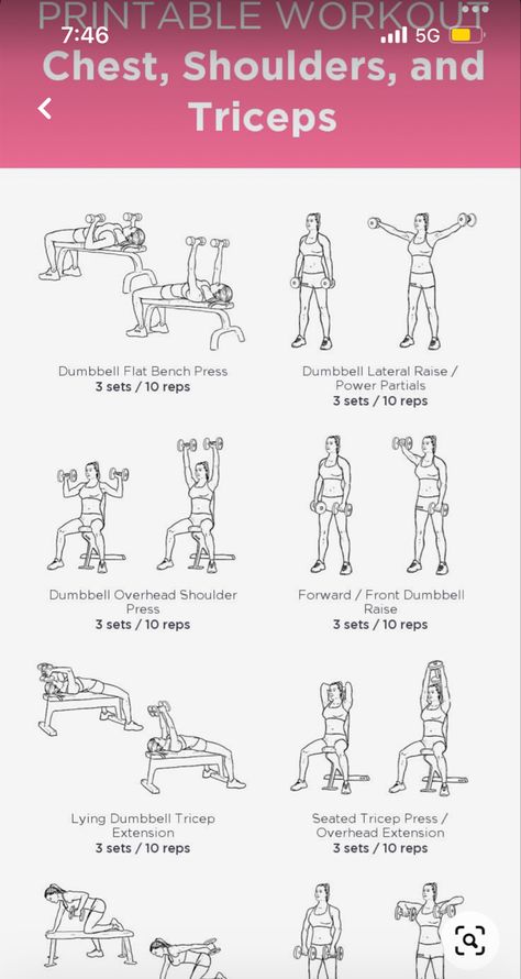 Gym Stomach Workout, Low Impact Workout Plan, Upper Body Workout Gym, Arm Workout Gym, Chest And Tricep Workout, Gym Girlie, Workout Labs, Workout Gym Routine, Push Workout