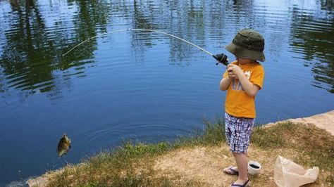 Boredom busters: 10 classic outdoor summer activities for kids | KSL.com Fishing For Kids, Fishing Basics, Outdoor Summer Activities, Backpacking Meals, Best Fishing Rods, Telescopic Fishing Rod, Fishing Rods And Reels, Kids Fishing, Boredom Busters