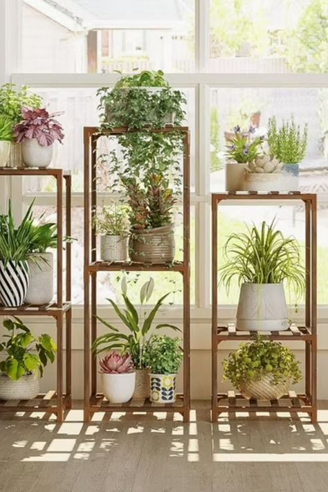 Picture from @target . Get this indoor houseplant rack to give your home a touch of nature. Clean and nice wooden houseplant rack for cheap. Can hold multiple large and small plants and is aesthetically pleasing. The perfect addittion to your home. Plant Stands Indoor, Plant Shelves Outdoor, Wooden Plant Stands Indoor, Corner Plant, Support Pour Plante, Plant Stands Outdoor, Wooden Plant Stands, Wood Plant Stand, Outdoor Living Decor