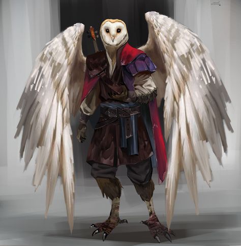 Owlin Ranger 5e, Owlin Dnd Bard, Owlkin Fantasy Art, Owlin Dnd Ranger, Owlin Dnd Sorcerer, Dnd Owl Familiar Art, Owlin Dnd Barbarian, Dnd Owlin Paladin, Owlin Wizard 5e