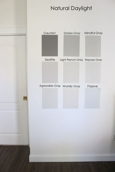 Nine Gray Paint Colors We Put to the Test for Your Home - Within the Grove Sherwin Williams Grey, Sherwin Williams Paint Gray, Light Grey Paint Colors, Worldly Gray, Gray Paint Colors, Sherwin Williams Gray, Gray Paint, Grey Paint, Grey Paint Colors