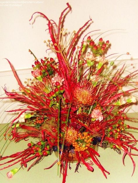 Firework arrangement Firework Flower Arrangement, Firework Flowers, Flower Board, Fire Flower, Night Flowers, Flower Festival, Bonfire Night, Flower Arranging, The 5th Of November