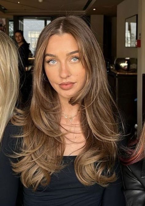 The Expensive Old Money Brunette (Gallery) | Rich Brunette Hair Color Trend 2024 | Expensive Brown Hair Aesthetic Inspo | Light brown hair | dark brown hair Brown Hair Inspiration, Rambut Brunette, Honey Brown Hair, Brown Hair Looks, Brown Hair Inspo, Brunette Hair With Highlights, Brown Hair Balayage, Hair Stylies, Haircuts Straight Hair