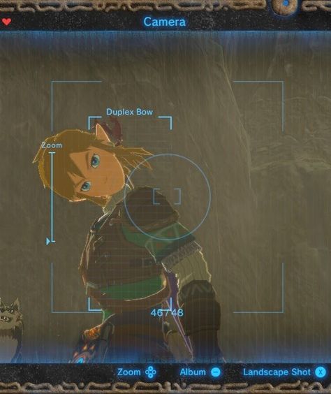 Link Zelda Aesthetic, Botw Link Pfp, Link And Zelda Botw, Link Loz, Link Breath Of The Wild, Link Funny, Breath Of The Wild Link, Loz Botw, Funny Links