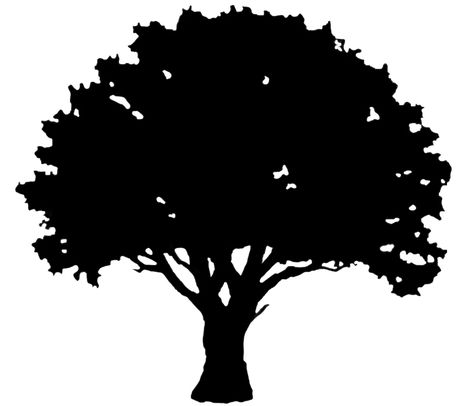 Oak Tree Silhouette Tattoo, Oak Tree Silhouette, Tree Silhouette Tattoo, Black Oak Tree, Pine Tattoo, Oak Tree Tattoo, White Oak Tree, Tree Outline, Family Tree Tattoo