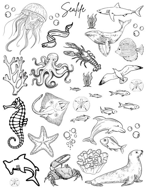 Non Animal Tattoo, Ocean Tattoos Patchwork, Small Sea Animals Drawing, Sea Related Drawings, Cute Sea Animal Tattoos, Small Ocean Animal Tattoo, Schetch Ideas Easy, Seaside Tattoo Ideas, Ocean Animal Tattoos Sea Creatures