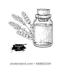 Apothecary Sketch, Apothecary Drawing, Apothecary Inspiration, Colored Glass Bottles, Plants In Bottles, Plant Tattoo, Hand Drawn Vector Illustrations, Book Tattoo, Essential Oil Bottles