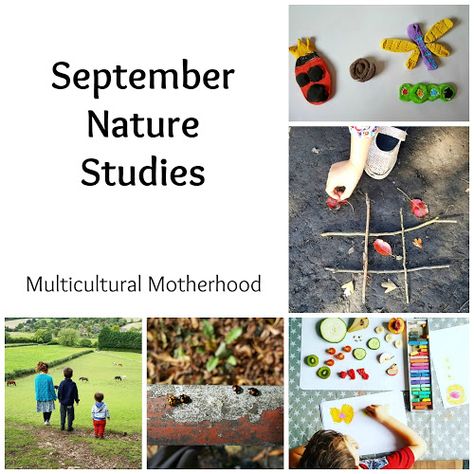 September Nature Studies | Multicultural Motherhood September Nature, September Themes, Nature Studies, Seed Dispersal, Wild Waters, Nature School, Environmental Education, Forest School, Step Kids