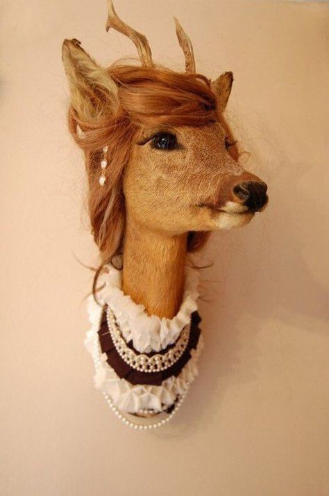 Weird taxidermy decor hid360.com Taxidermy Art Weird, Bad Taxidermy, Deer Head Decor, Taxidermy Decor, Best Hairdresser, Gift Baskets For Women, Taxidermy Art, Day Day, European Home Decor