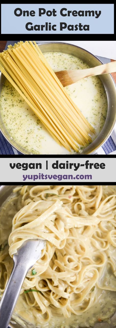 Fettucini Alfredo, Creamy Garlic Pasta, Dairy Free Pasta, Vegetarian Life, Vegan Style, Veggie Meals, Salad Pasta, Garlic Pasta, Alfredo Recipe