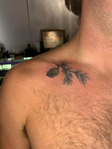 Collar bone tattoo in color of pine cone and fir tree branch Tattoo In Color, Small Inspirational Tattoos, Pine Tattoo, Small Colorful Tattoos, Tree Tattoo Back, Nature Tattoo Sleeve, Fern Tattoo, Bone Tattoo, Torso Tattoos