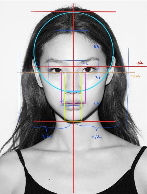 Female Head Structure, Face Anatomy Study Art, Face Ratio Drawing, Face Porpotion Reference, Face Draw Tutorial, Reference Portrait Drawing, Face Structure Reference, Reference Face Drawing, Drawing Face Reference