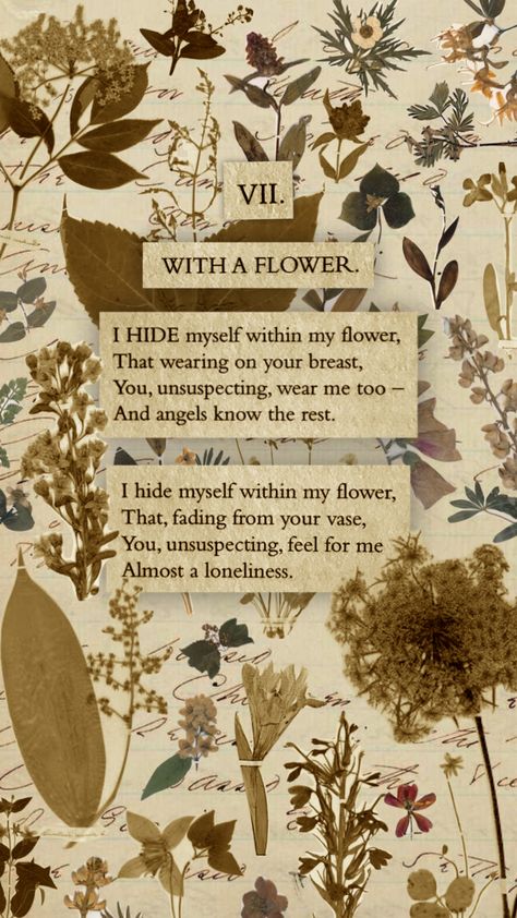 Emily Dickinson Poems Aesthetic, Emily Dickinson Poems Wallpaper, Emily Dickinson Poems Poetry, Emily Dickinson Wallpaper, Emily Dickinson Aesthetic, Illustrated Poems, Emily Dickinson Quotes, Dickinson Poems, Emily Dickinson Poems