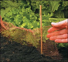 Placed around gardens, this pure copper wire mesh repels snails and slugs, because they don't like touching copper. It can also be cut to length to stuff in cracks, gaps or other small openings in buildings to block birds or rodents or other animals. Copper Garden, Growing Garden, Garden Patio Decor, Garden Netting, Garden Pest Control, Green Stuff, Lee Valley, Gardening 101, Garden Pests