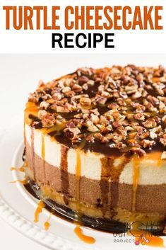 New York Cheesecake With Shortbread Crust, Chocolate Caramel Pecan Cheesecake, Turtle Pecan Cheesecake, Chocolate Pecan Cheesecake, Cheesecake Recipes Turtle, Turtle Cheesecake Recipe Easy, Gourmet Cheesecake Recipes, Fancy Cheesecake, Chocolate Turtle Cheesecake